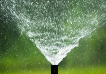 5 Irrigation Tips to Keep Your Lawn Green All Summer