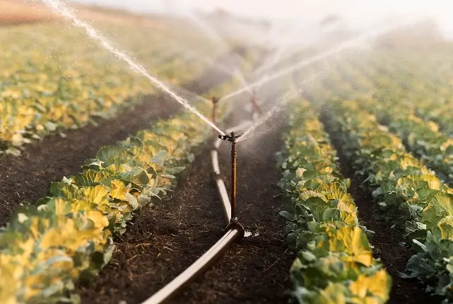 irrigation