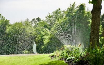 Does a sprinkler system increase property value?