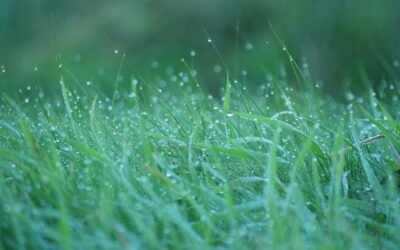 In NJ should you water grass in October?