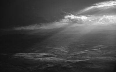 Best Time to Install Landscape Lighting: A Complete Guide