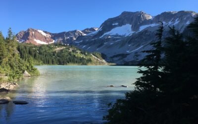 Why Proper Drainage Is Key to Protecting Your Foundation