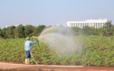 5 Irrigation Tips to Keep Your Lawn Green All Summer
