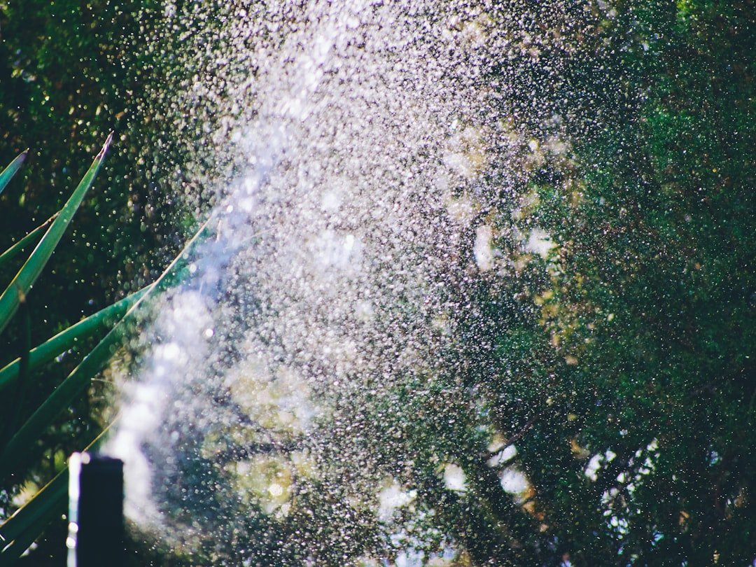 image-5 Photo sprinkler system