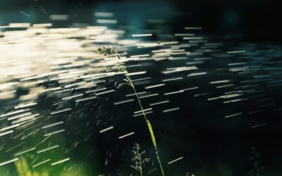 Does installing a sprinkler system tear up your yard?