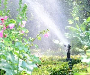 Paramus Irrigation, Sprinkler & Service