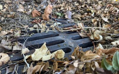 Paramus Drainage Solutions & Repairs