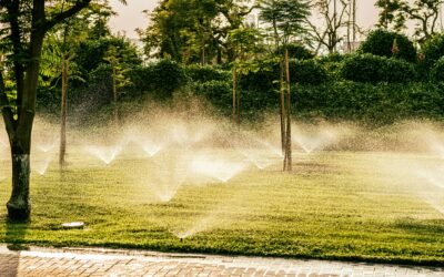 Hackensack Sprinkler Installation & Service